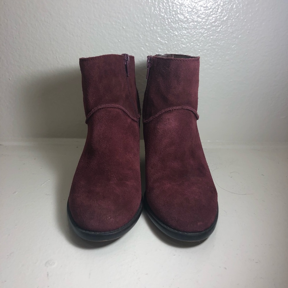 Steve Madden Maroon Booties - Picture 2 of 8